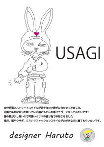 USAGI_page-0001
